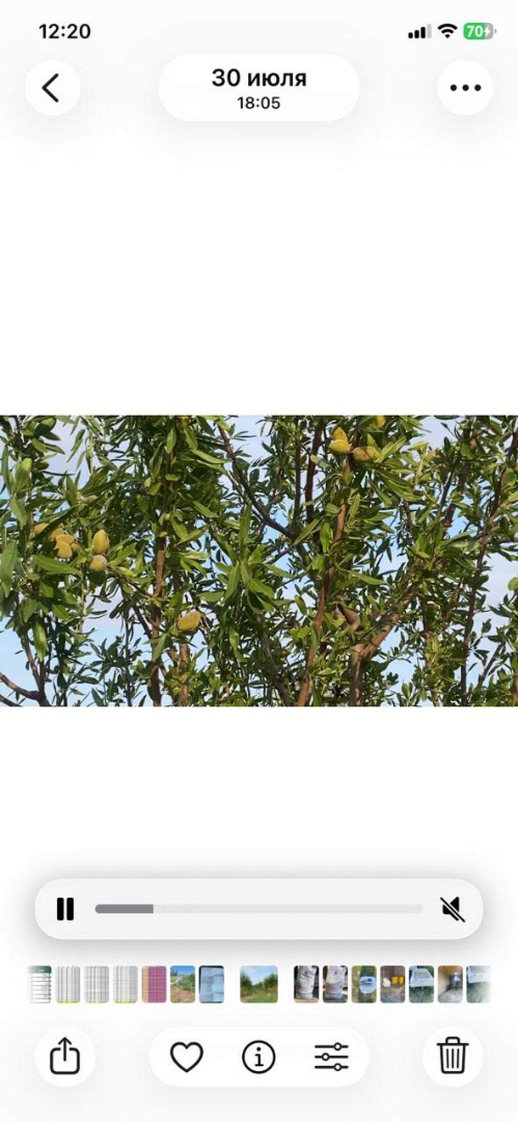 412 sot, Kənd təsərrüfatı, Mülkiyyətçi, Kupça (Çıxarış)