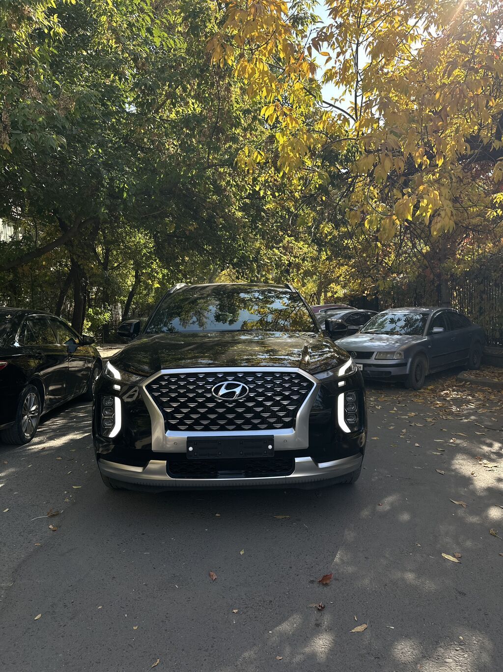 Hyundai Palisade: 2021 г., 2.2 л, Автомат, Дизель, Кроссовер: фото 2