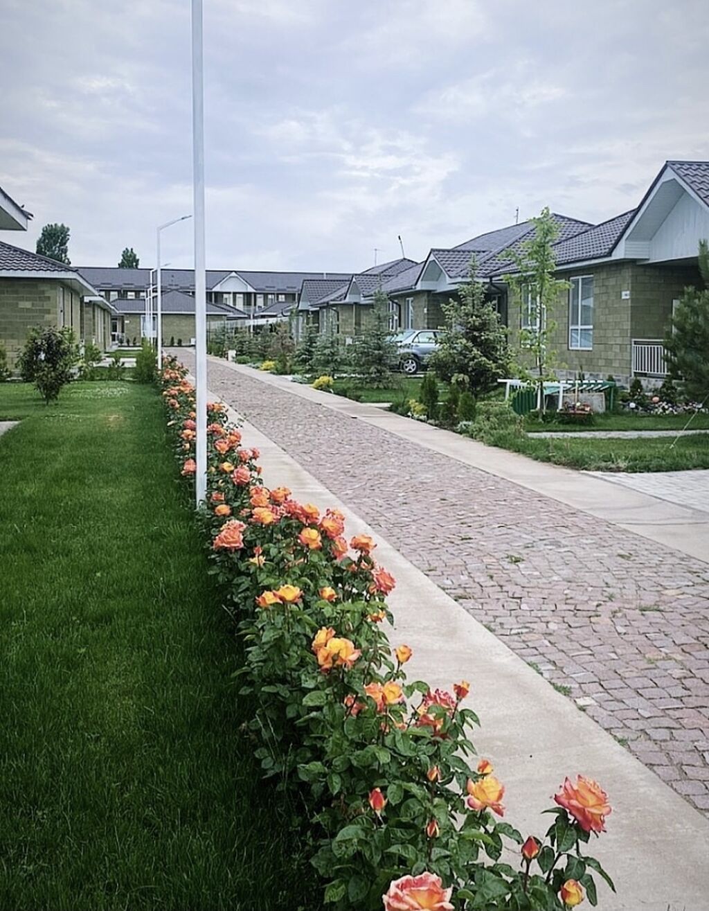 кафе астория иссык куль. Novel hotel иссык куль. чок тал кооператор. варна коттедж. киргизия чолпон ата коттедж.