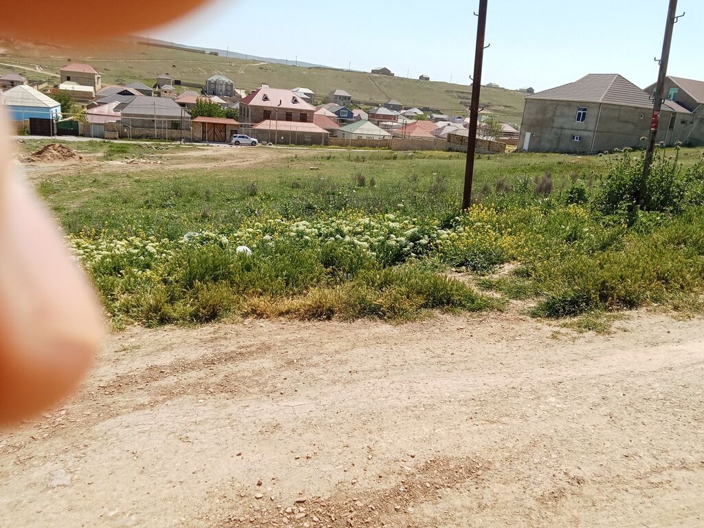 8 sot, Tikinti, Kupça (Çıxarış)