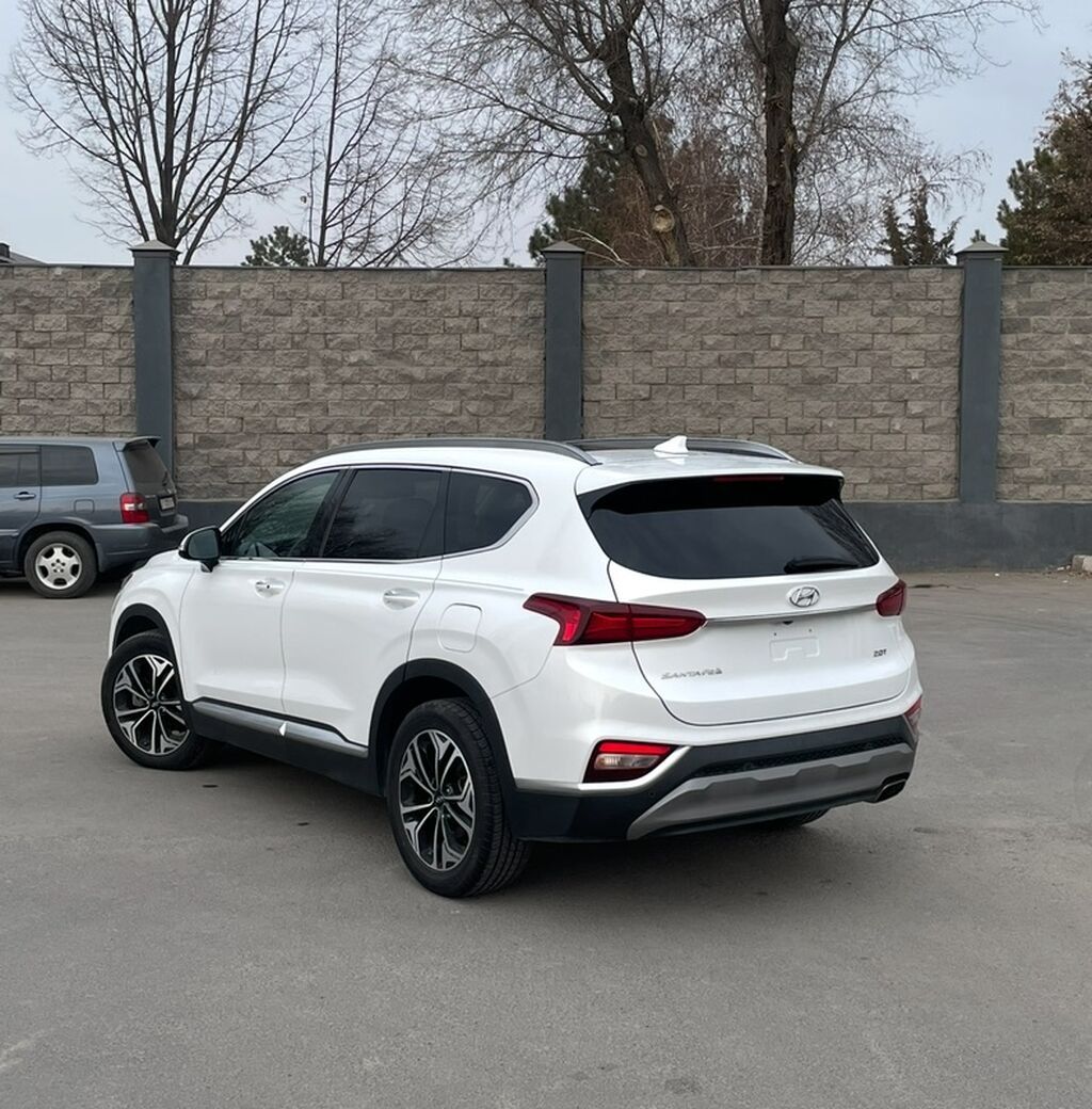 Hyundai Santa Fe: 2019 г., 2 л, Автомат, Бензин, Кроссовер: фото 8