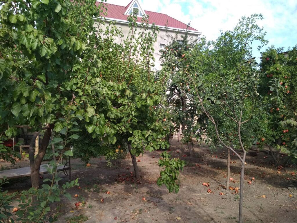 3 otaqlı, 135 kv. m, Orta təmir