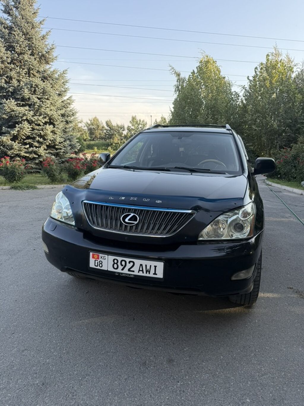 Lexus RX: 2004 г., 3.3 л, Автомат, Бензин, Кроссовер: фото 1