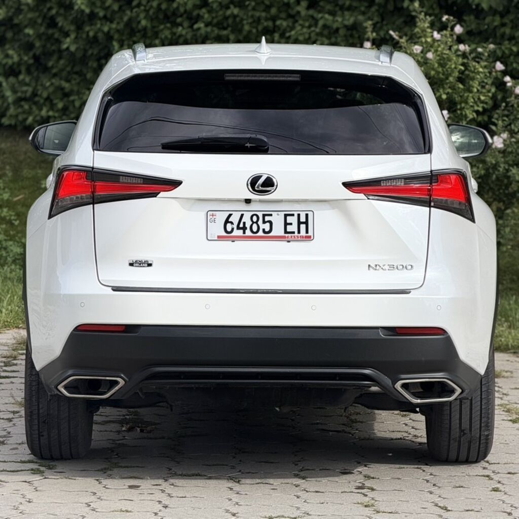 Lexus NX: 2020 г., 2 л, Автомат, Бензин, Кроссовер: фото 5