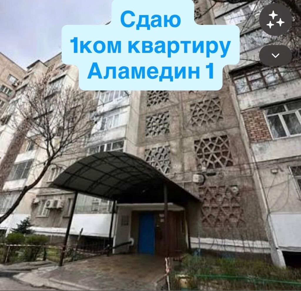 Сдается 1-комнатная квартира в Аламедин-1