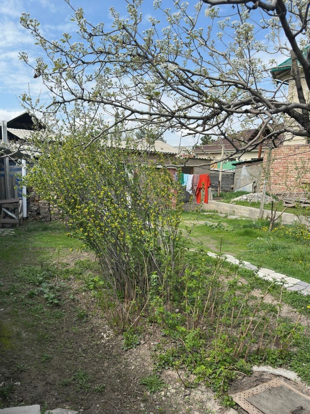 5 комнат, 150 м², 5 соток, Бишкек, Физприборы Собственник: фото 4