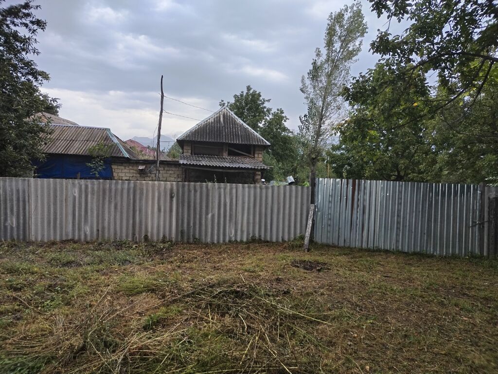 31 sot, Tikinti, Kupça (Çıxarış)