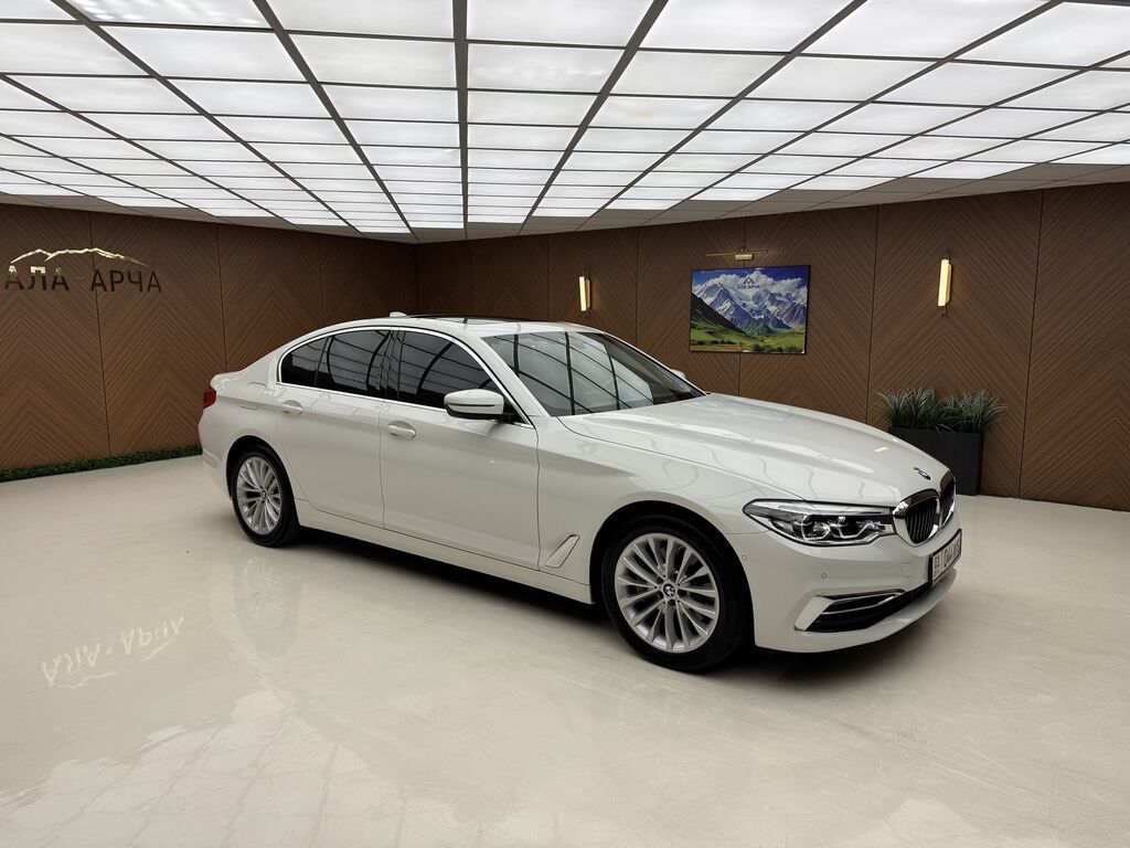 BMW 5 series: 2019 г., 2 л, Автомат, Бензин, Седан: фото 2