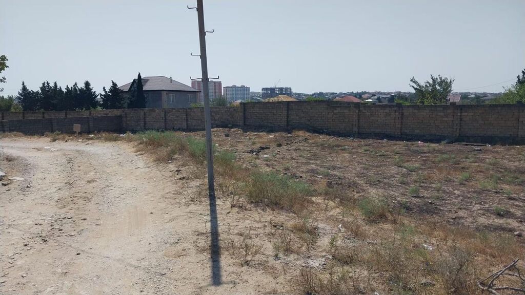 12 sot, Kupça (Çıxarış)