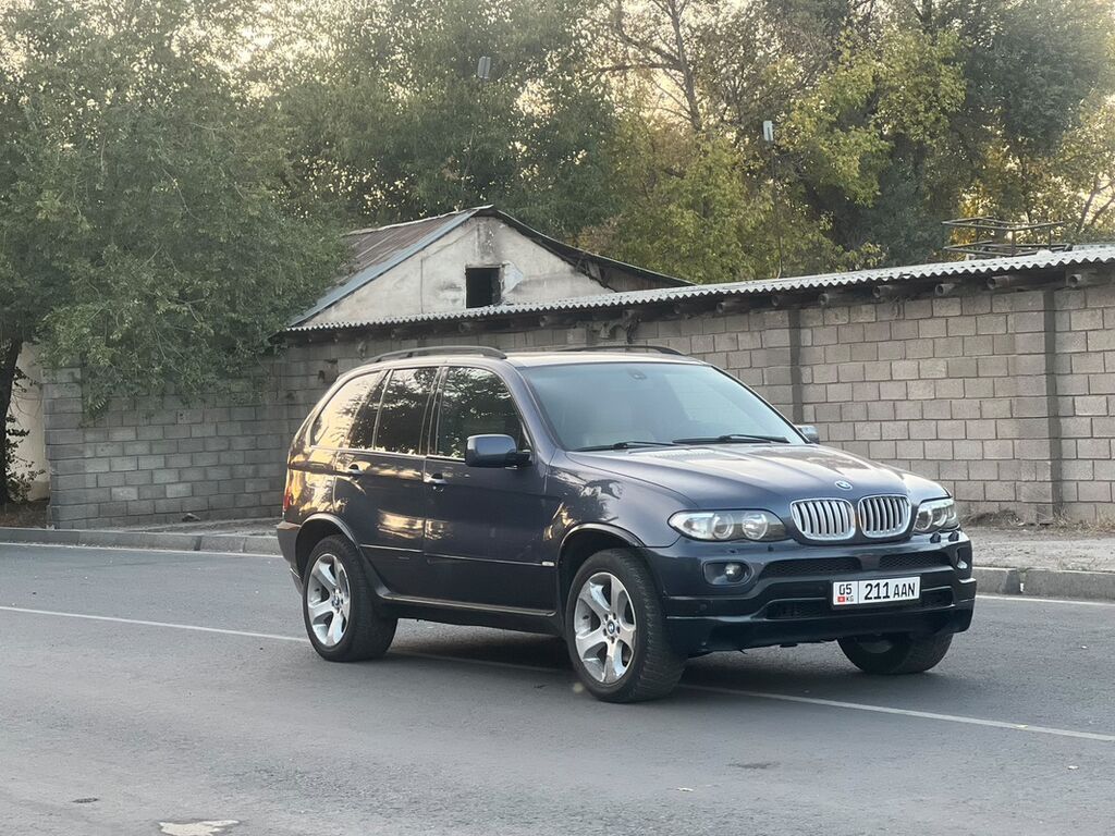 BMW X5: 2004 г., 4.4 л, Автомат, Бензин, Кроссовер: фото 4