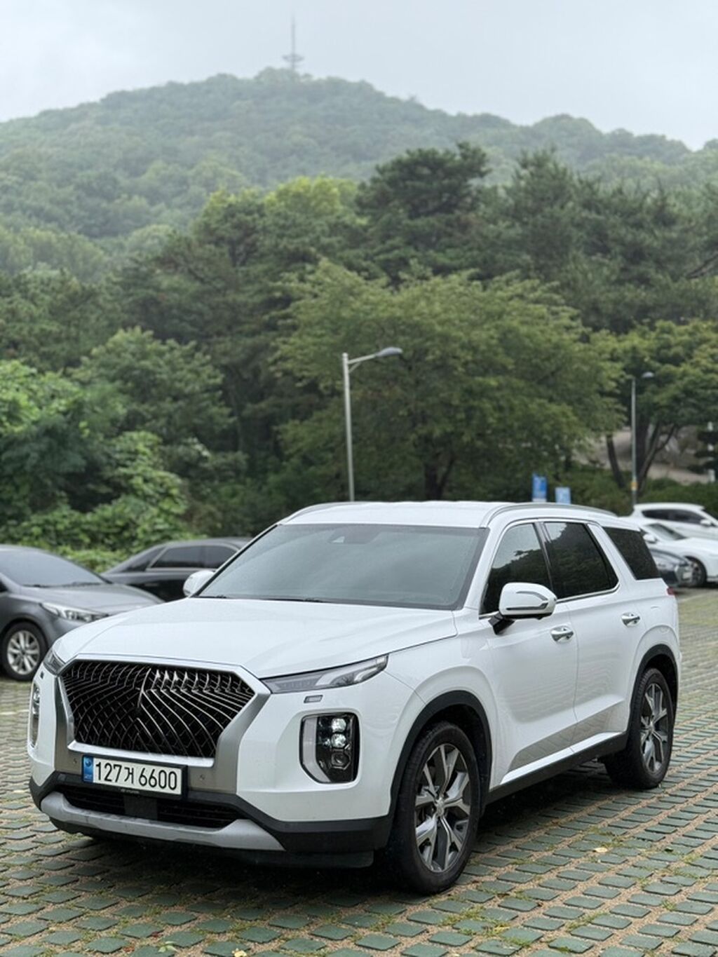 Hyundai Palisade 2020, дизель, автомат, 7 мест: фото 1