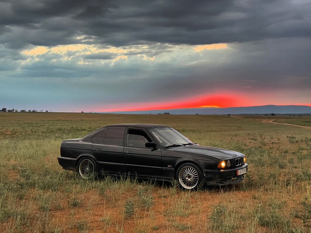 BMW 5 series: 1992 г., 2.5 л, Механика, Бензин, Седан: фото 5