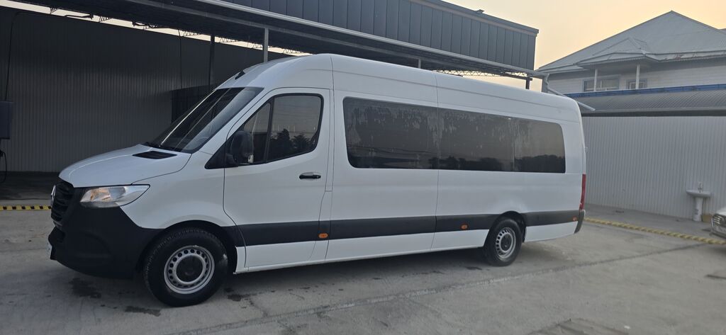 Mercedes-Benz Sprinter, 2019 г., пассажирский микроавтобус: фото 2