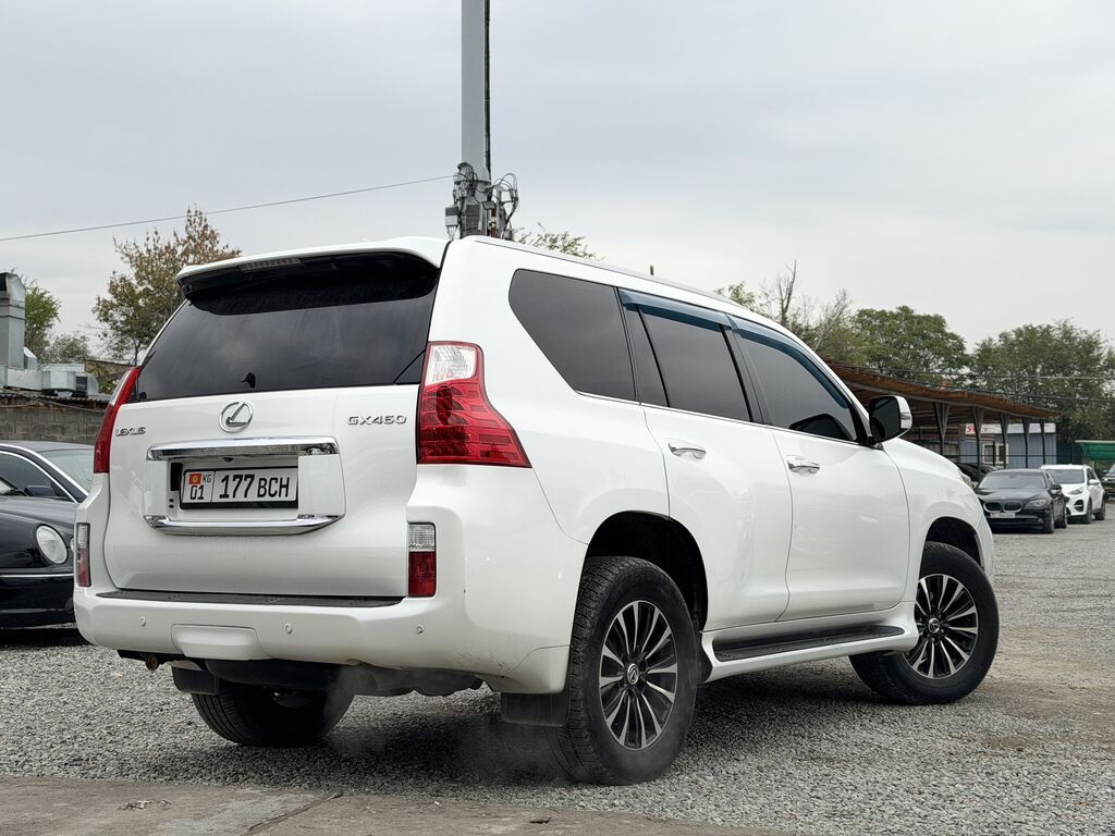 Lexus GX: 2010 г.: фото 4
