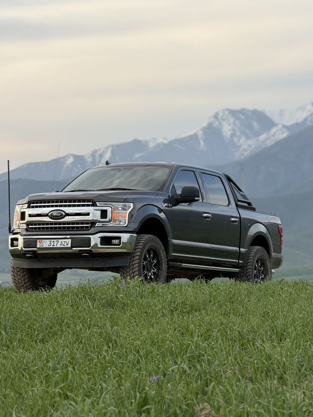 Ford F-150: 2019 г., 3.5 л, Автомат, Бензин, Пикап: фото 2