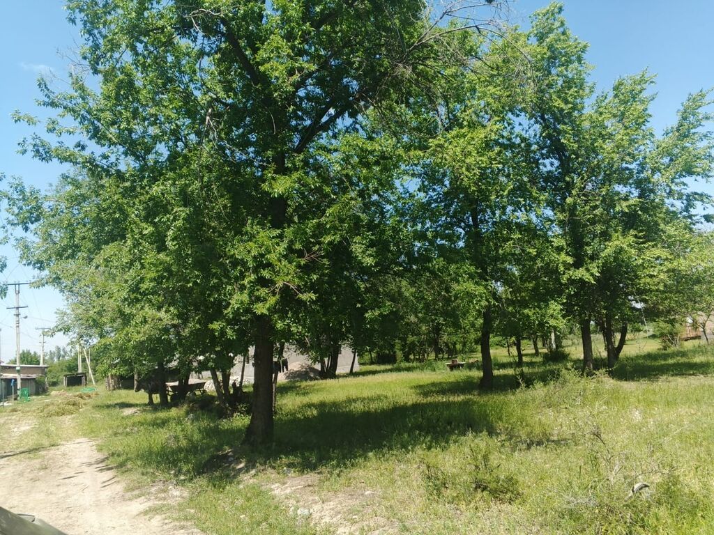 5 соток, Для строительства, Красная книга: фото 8