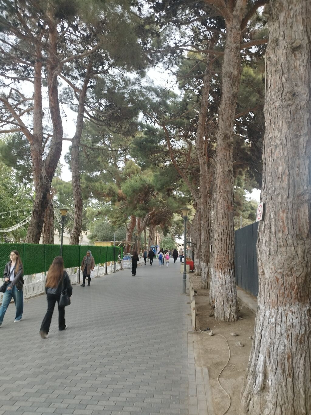 3 otaqlı, 2 kv. m, Kredit yoxdur, Orta təmir