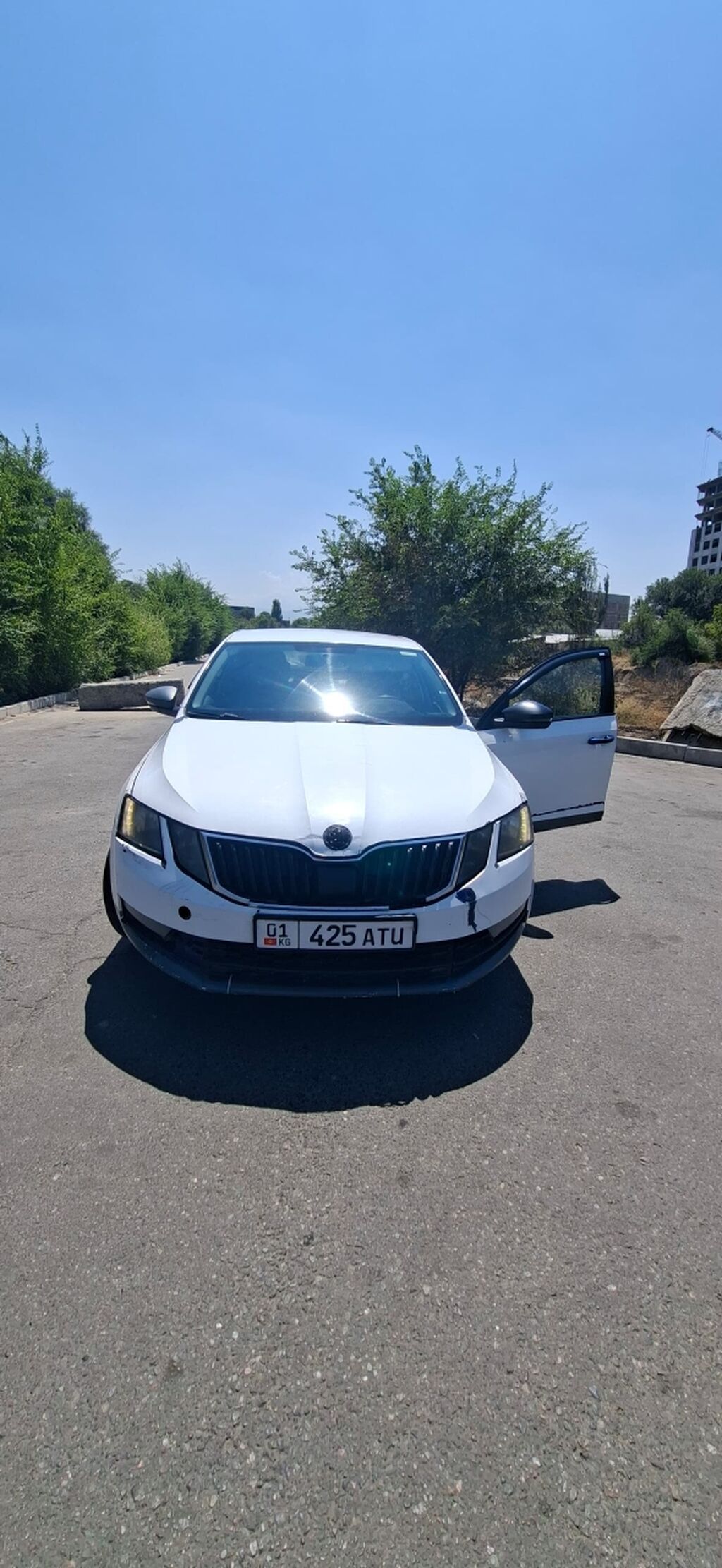 Skoda Octavia: 2018 г., Седан: фото 2