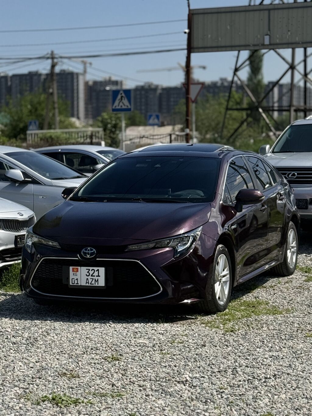 Toyota Levin
