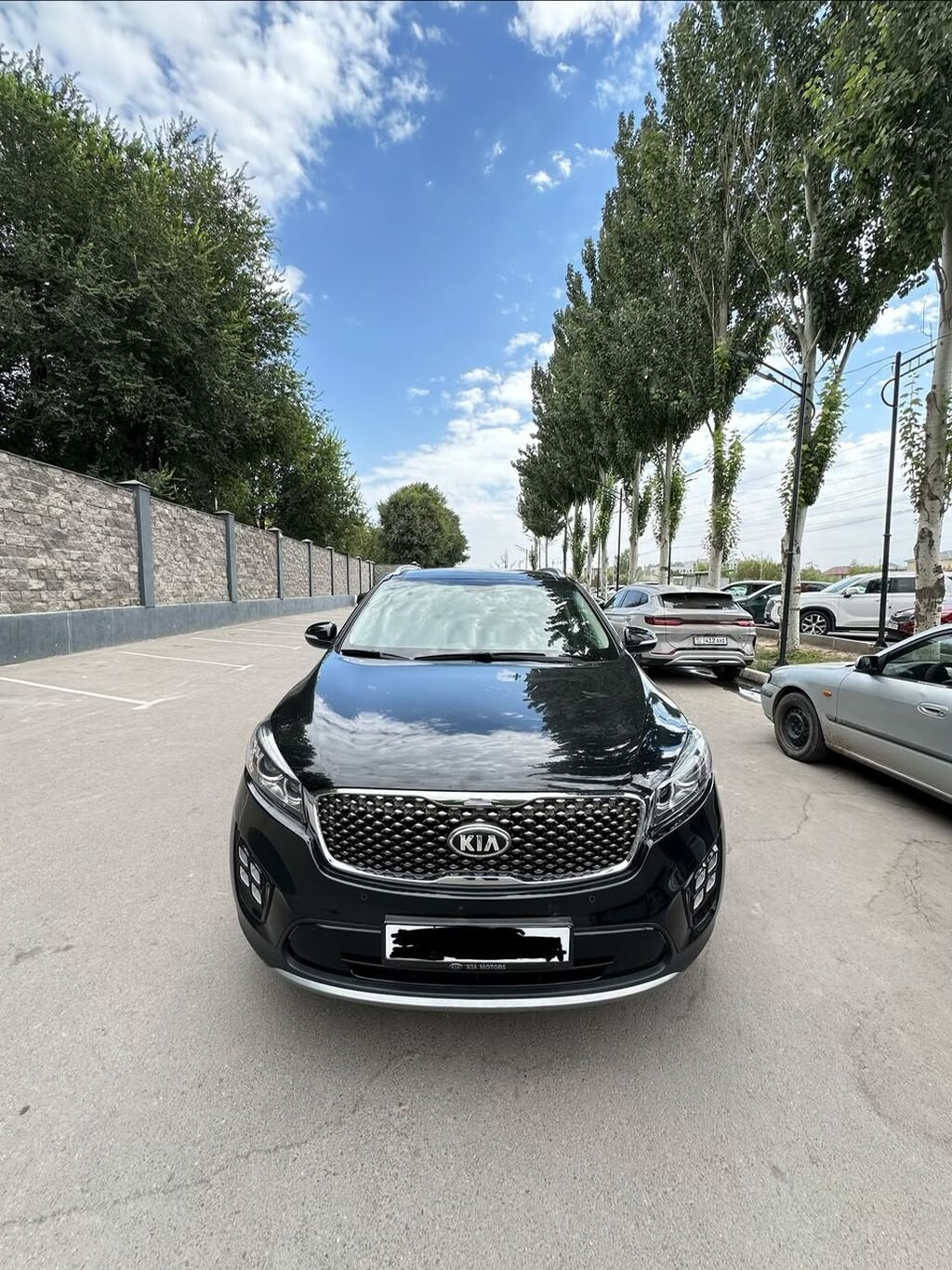 Kia Sorento: 2017 г., 2.2 л, Автомат, Дизель, Кроссовер: фото 1
