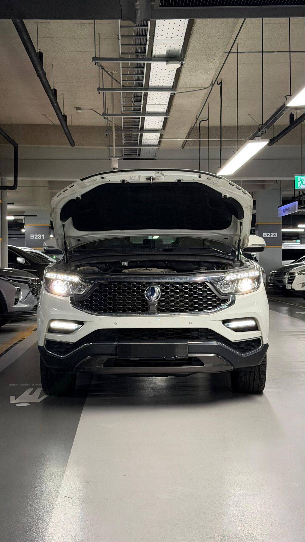 Ssangyong Rexton: 2020 г., 2.2 л, Автомат, Дизель, Внедорожник: фото 6