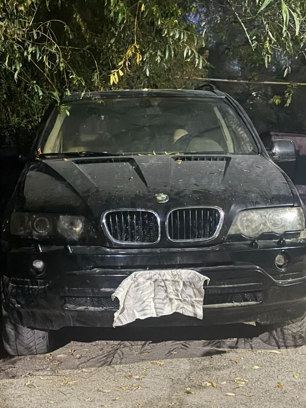 BMW X5: 2002 г., 3 л, Автомат, Бензин, Кроссовер: фото 3