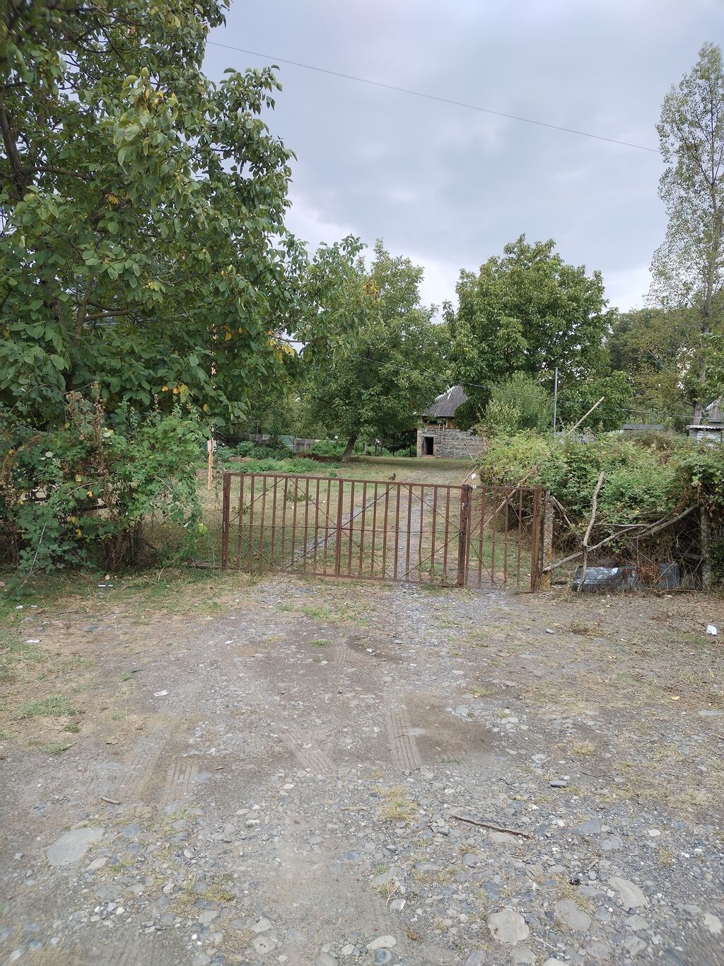 31 sot, Tikinti, Kupça (Çıxarış)