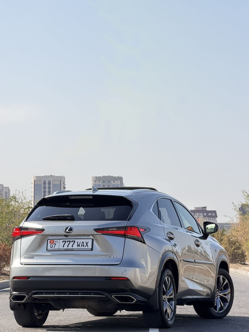Lexus NX: 2019 г., 2 л, Автомат, Бензин, Кроссовер: фото 7