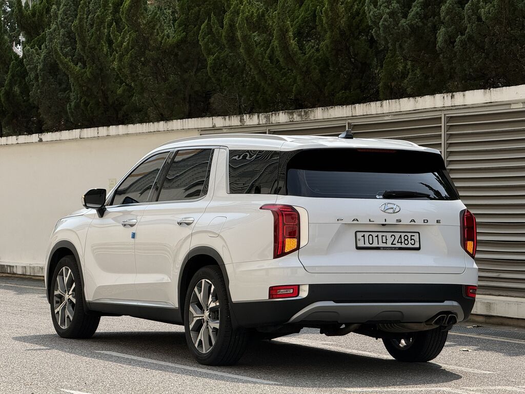 Hyundai Palisade: 2020 г., 2.2 л, Автомат, Дизель, Кроссовер: фото 4