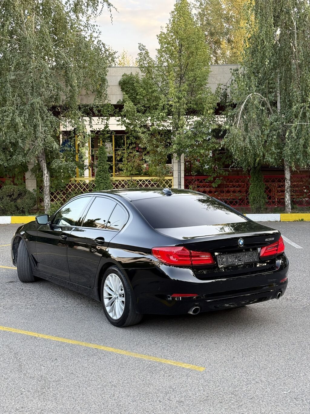 BMW 530: 2019 г., 2 л, Автомат, Бензин, Седан: фото 6