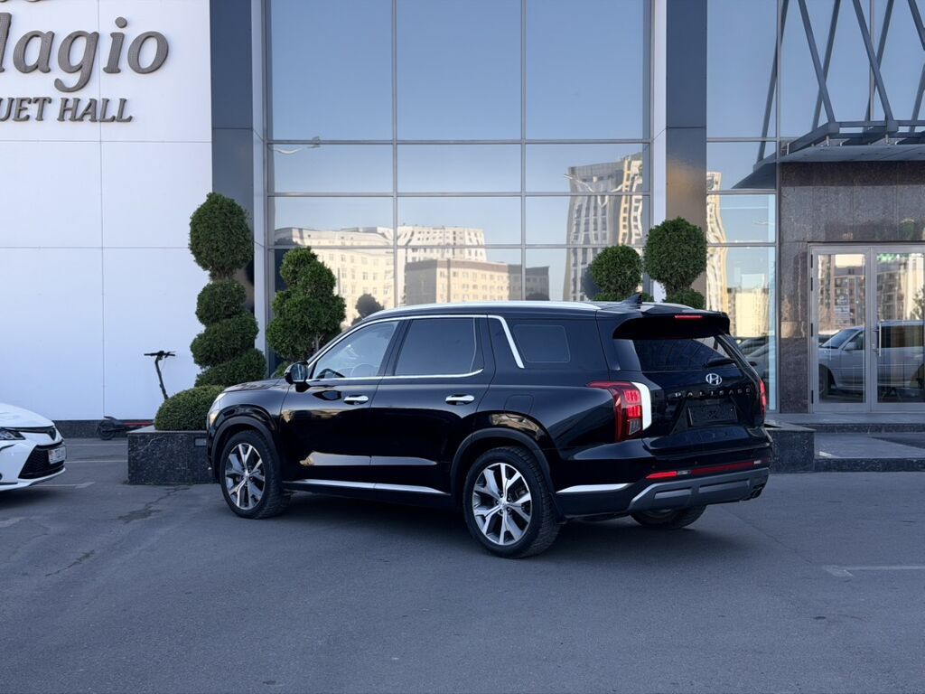 Hyundai Palisade: 2019 г., 2.2 л, Автомат, Дизель, Кроссовер: фото 4