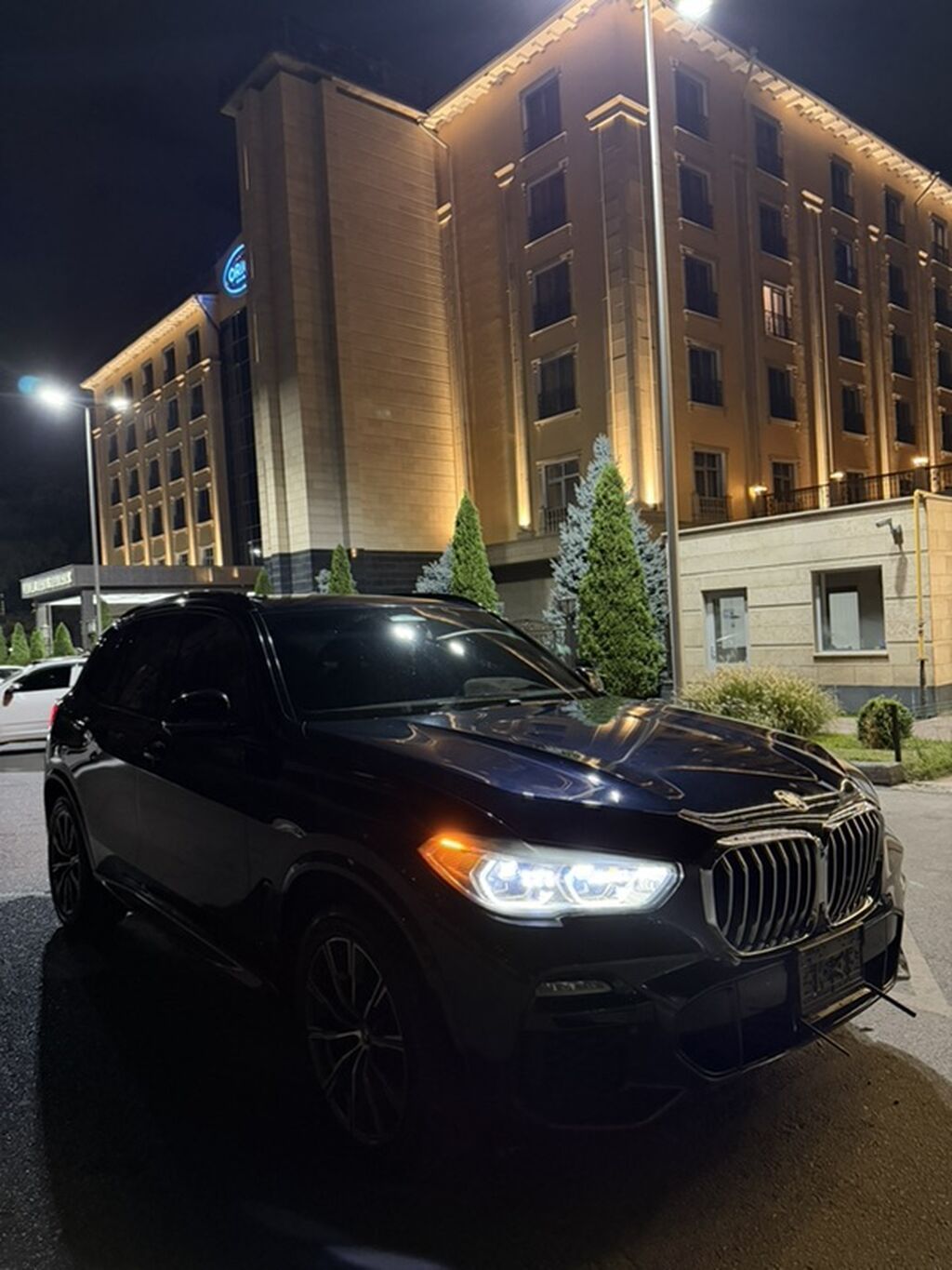 BMW X5: 2019 г., 3 л, Автомат, Бензин, Внедорожник: фото 3