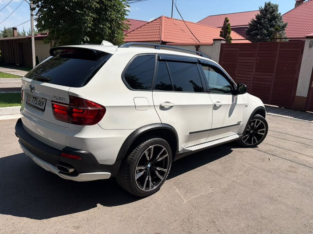 BMW X5: 2009 г., 3 л, Автомат, Бензин, Кроссовер — фото 6