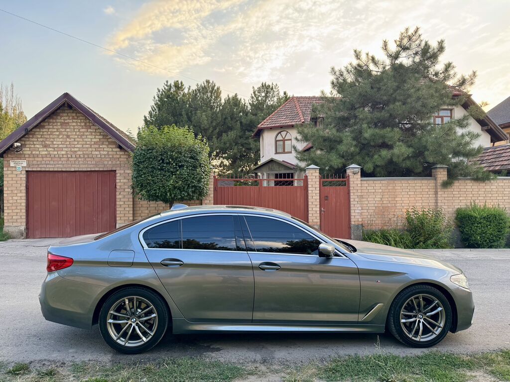 BMW 5 series: 2019 г., 2 л, Автомат, Дизель, Седан: фото 6