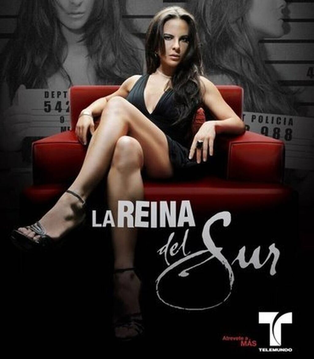 Kasete, CD i DVD: Telenovela ''Kraljica Juga'' (La Reina Del Sur) Cela serija, sa