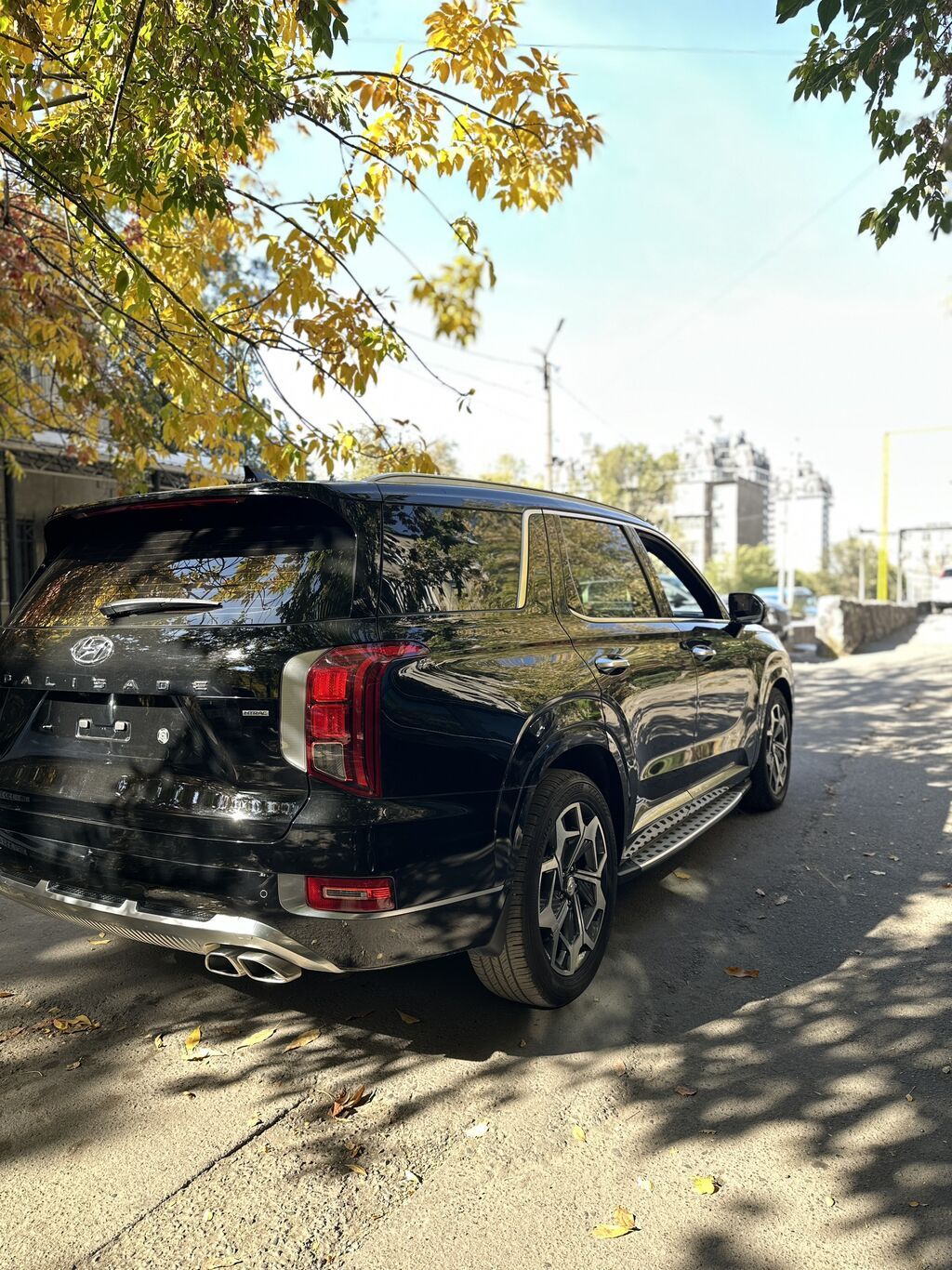 Hyundai Palisade: 2021 г., 2.2 л, Автомат, Дизель, Кроссовер: фото 3