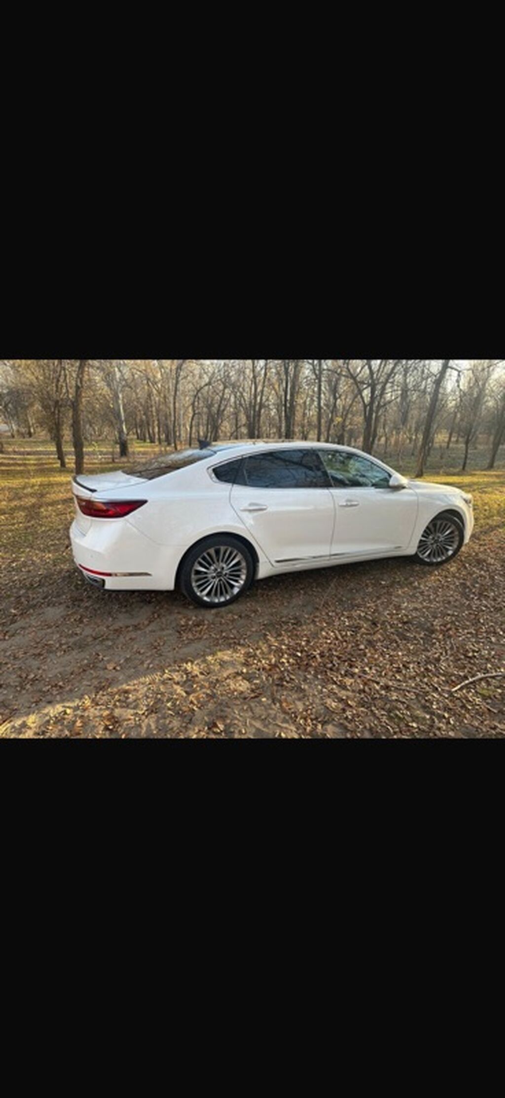 Kia Cadenza: 2019 г., 3 л, Типтроник, Газ, Седан: фото 4