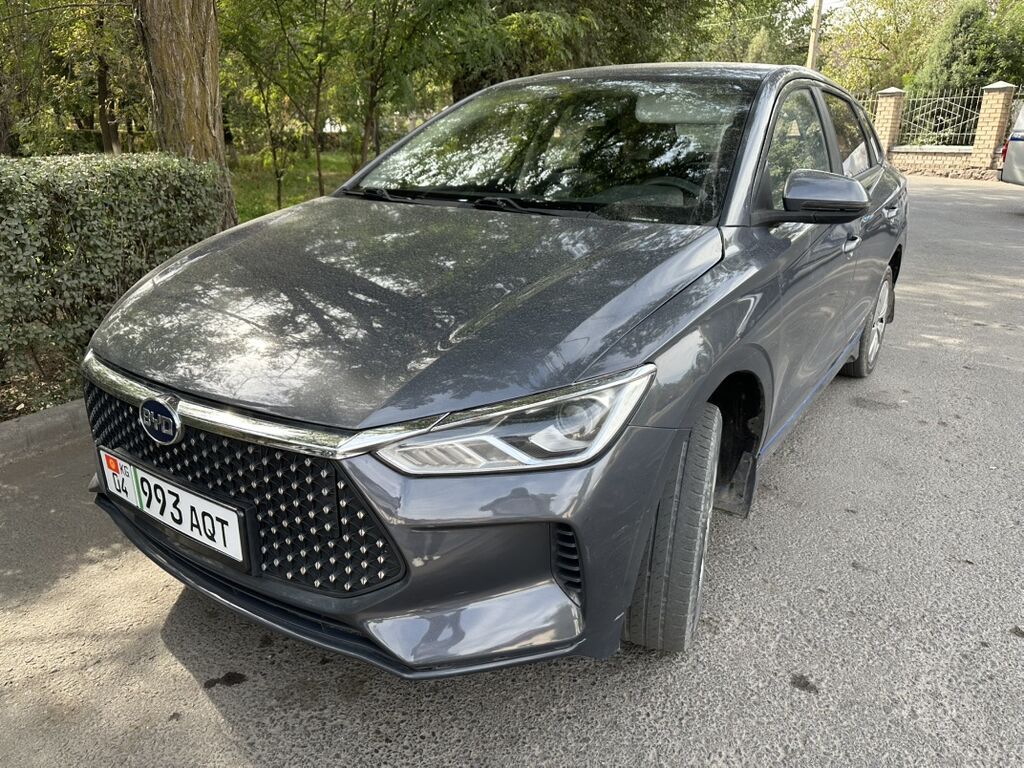 BYD E2