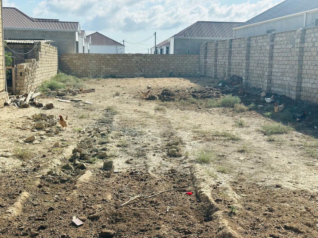 5 sot, Kupça (Çıxarış)