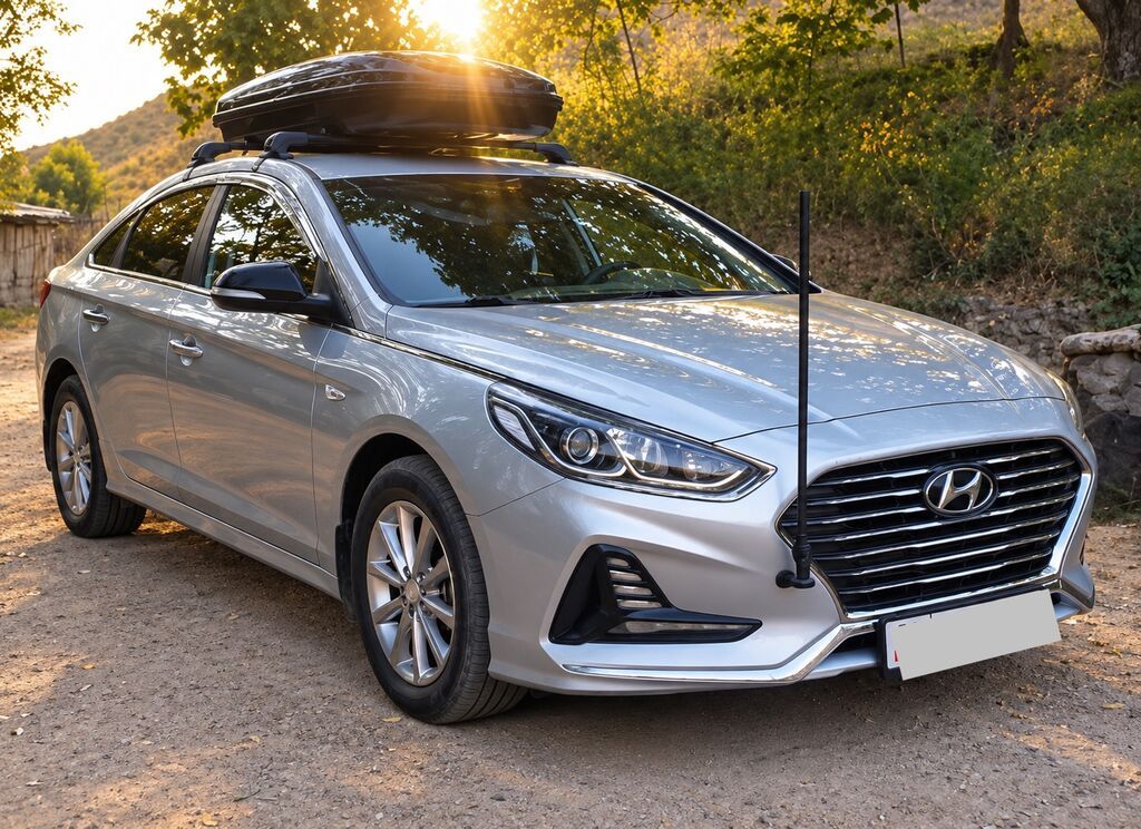 Hyundai Sonata: 2018 г., 2 л, Автомат, Газ, Седан: фото 1