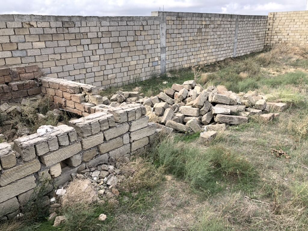 Tikinti, Bələdiyyə