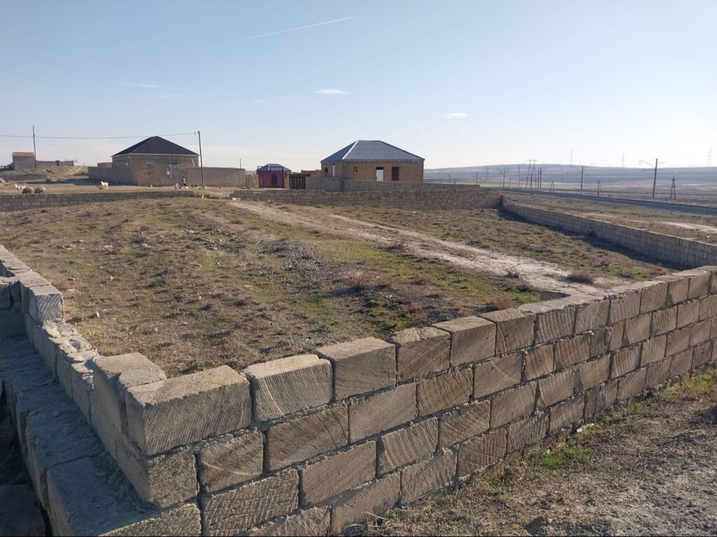 7 sot, Tikinti, Kupça (Çıxarış)