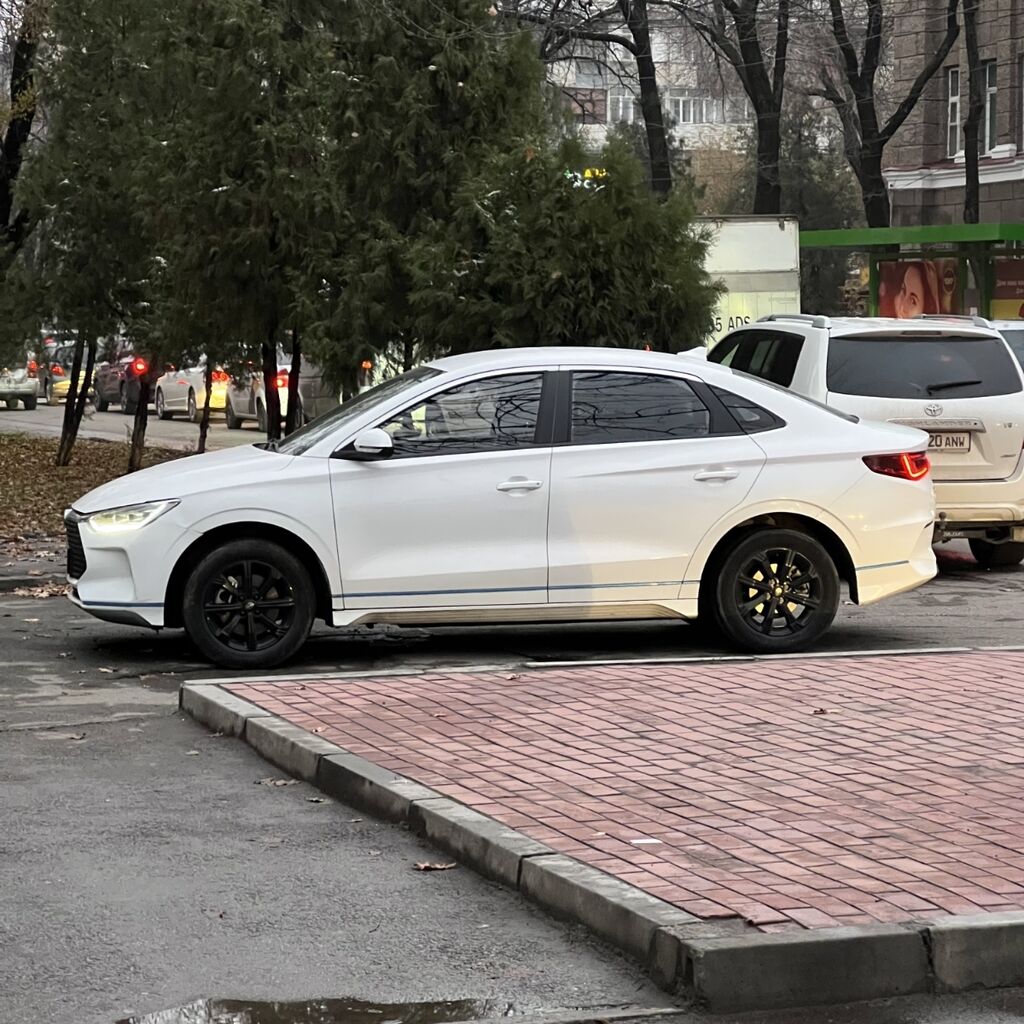 BYD E3 год 2020 запас хода 405 круиз контроль подогрев передних