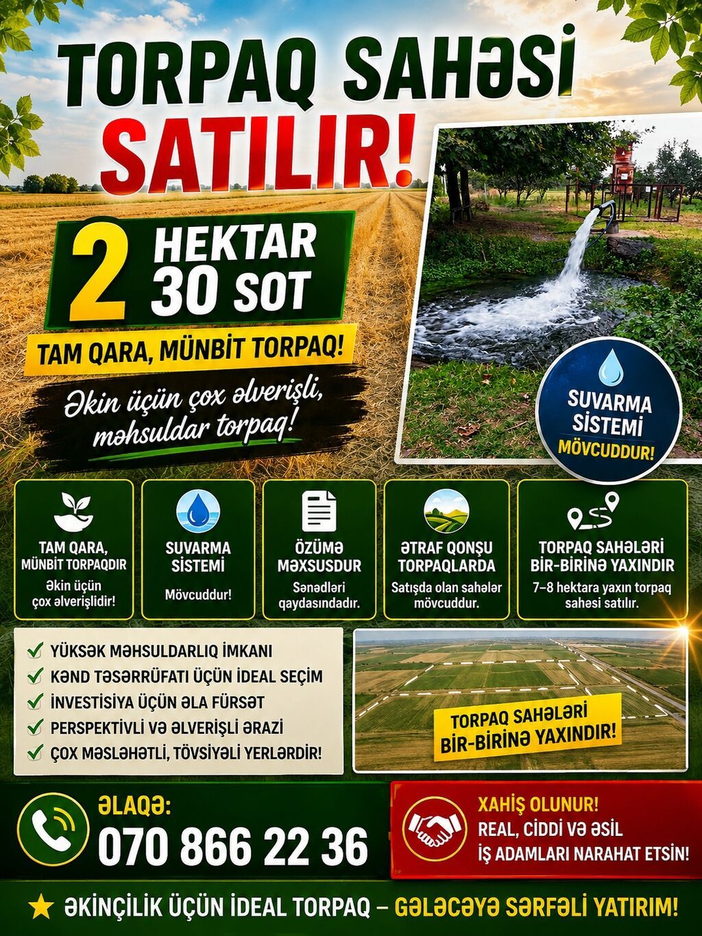 Kənd təsərrüfatı