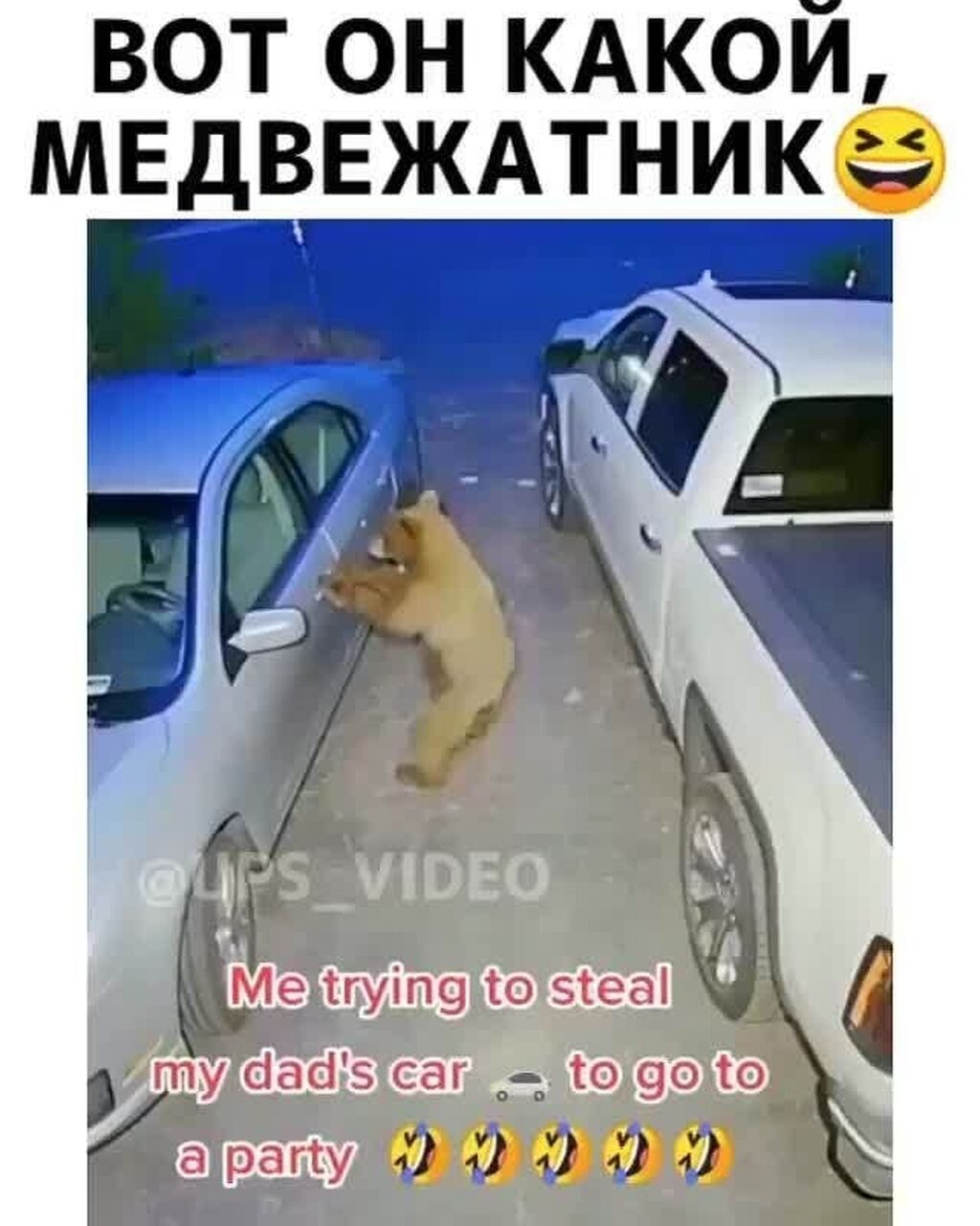 Аварийное вскрытие авто замков открыть дверь замок аварийная вскрытие: фото 3