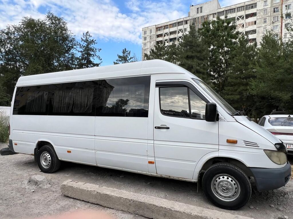 Mercedes-Benz Спринтер: 2002 г., 2.9 л, Механика, Дизель, Бус: фото 2