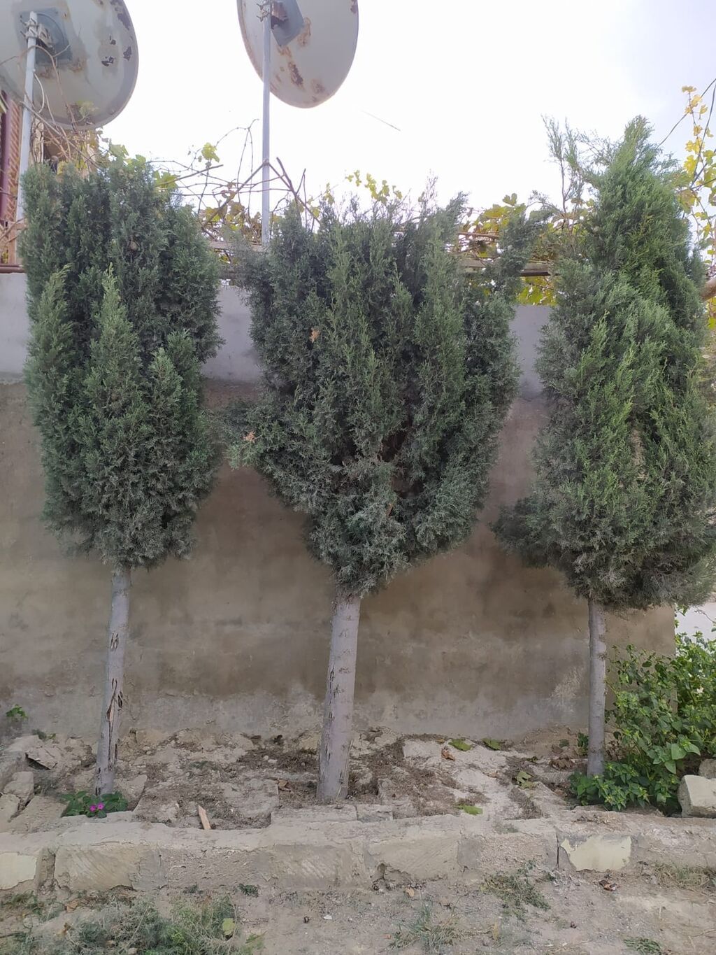 Əmircan qəs. 4 otaqlı, 66 kv. m, Kredit yoxdur, Orta təmir