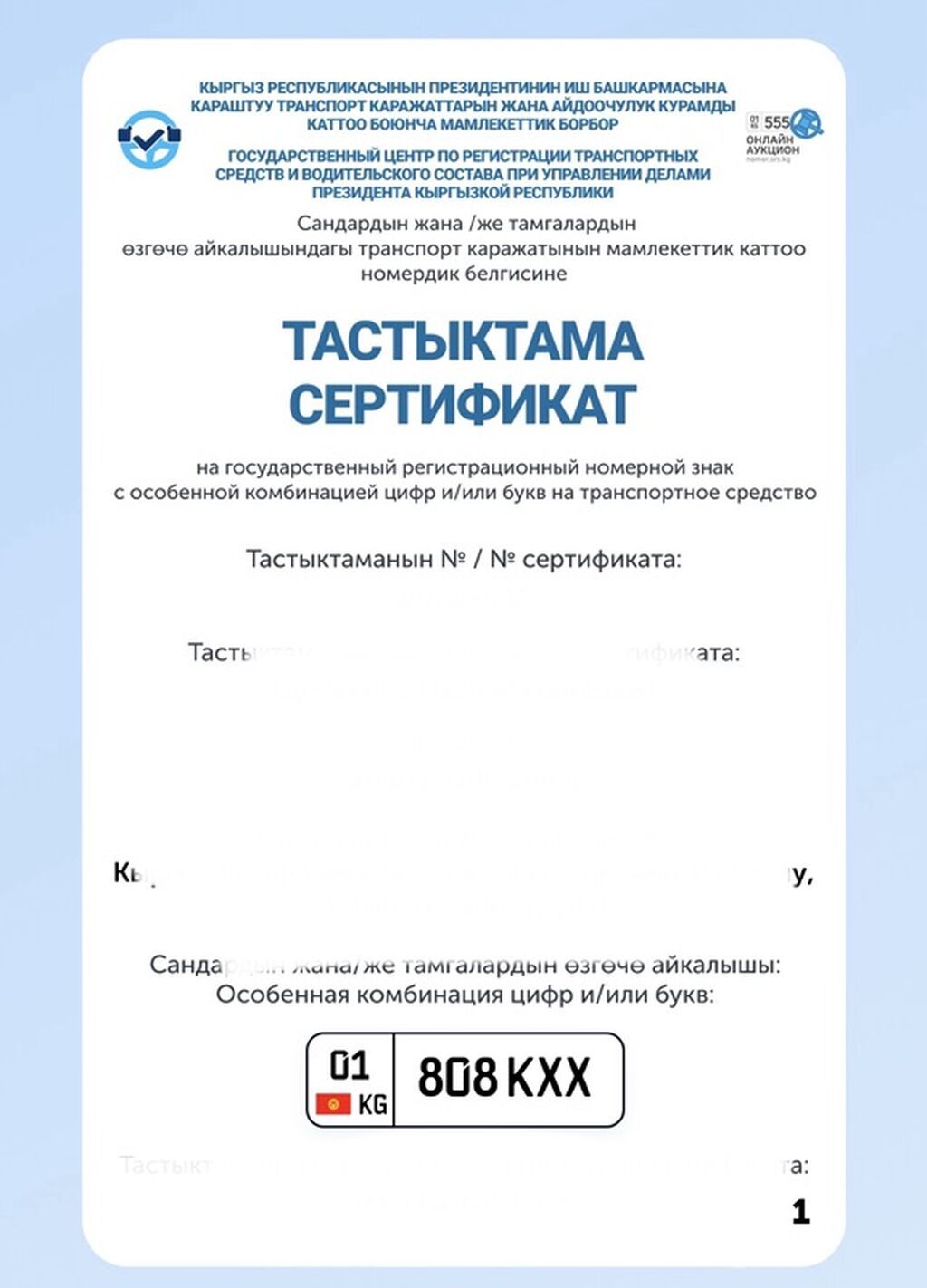 Индивидуальный государственный регистрационный номер для Кыргызстана: фото 2