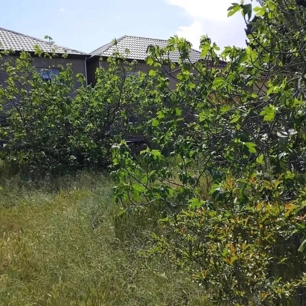 3 sot, Tikinti, Mülkiyyətçi, Kupça (Çıxarış)