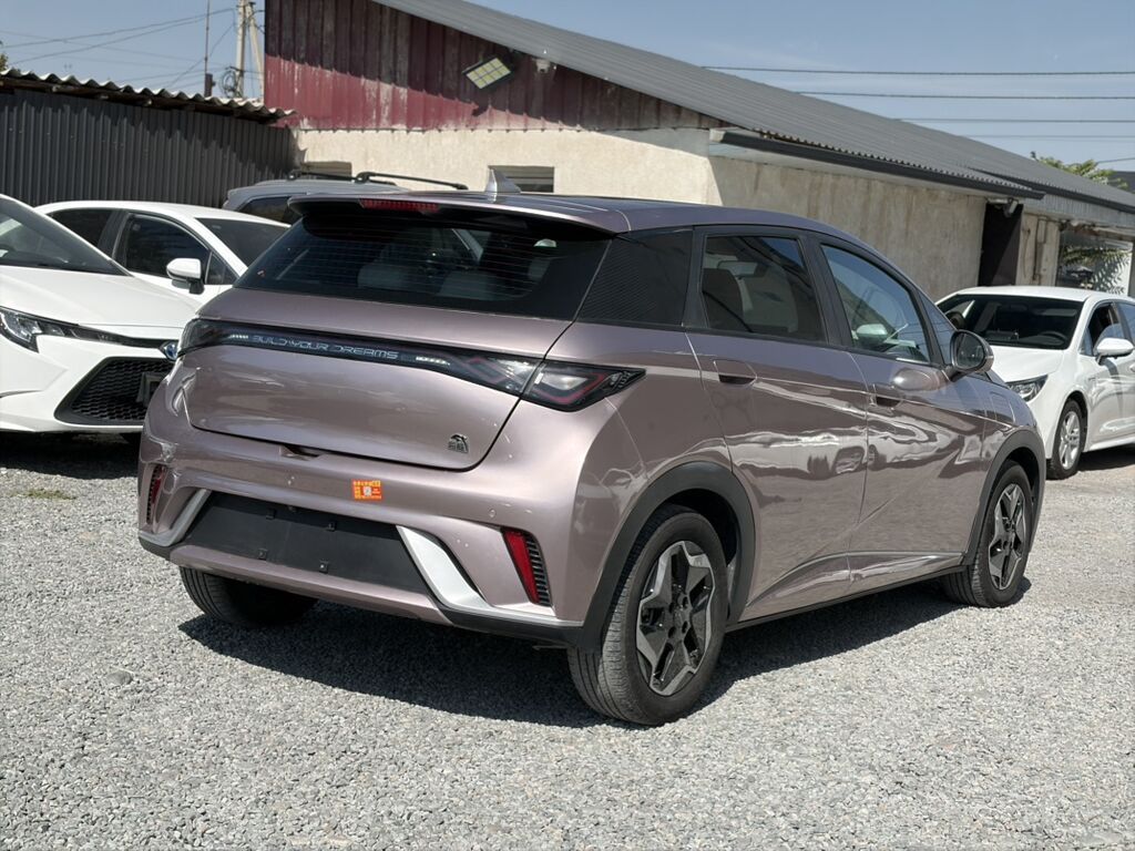 BYD Dolphin: 2022 г., 0.1 л, Автомат, Электромобиль, Хэтчбэк: фото 7